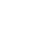 Abnormal AI
