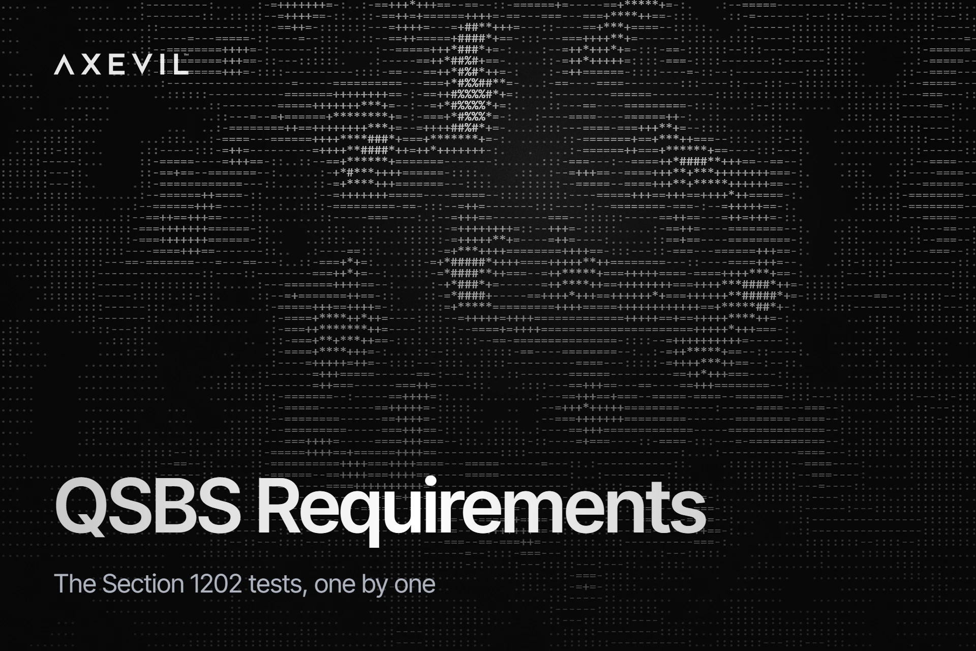 Cover: "QSBS Requirements" set over an ASCII character-noise texture.