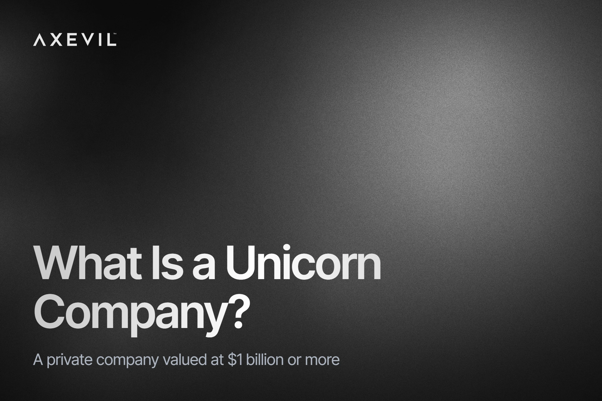 Cover: "What Is a Unicorn Company?" set over a soft aurora gradient.